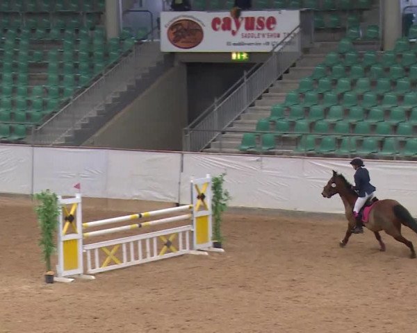 Reitturnier Kreuth/Opf. 2020
