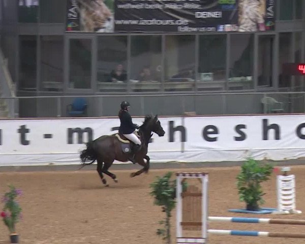 Reitturnier Kreuth/Opf. 2020