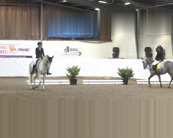 Reitturnier Viernheim 2020