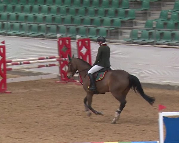 Reitturnier Kreuth/Opf. 2020