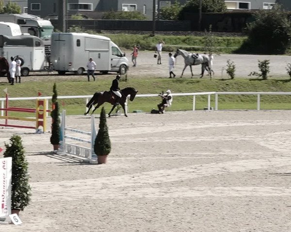 Pferdesporttage Bülach 2021