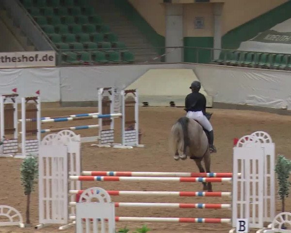 Reitturnier Kreuth/Opf. 2020