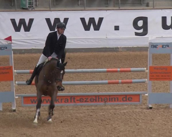 Reitturnier Kreuth/Opf. 2020