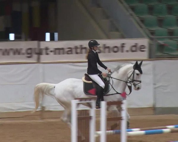 Reitturnier Kreuth/Opf. 2020
