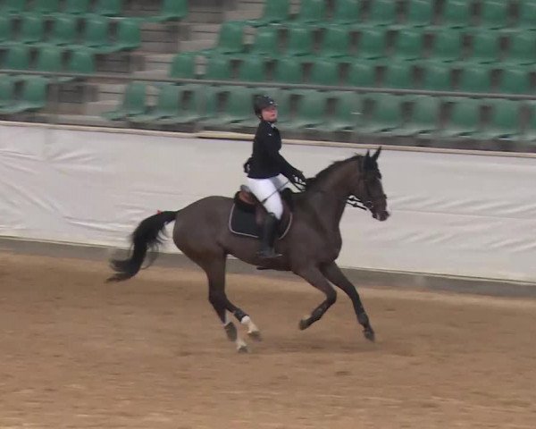 Reitturnier Kreuth/Opf. 2020