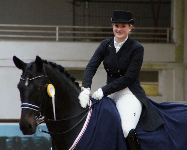 dressage horse Westpoint 190 (Hanoverian, 2003, from Warkant)