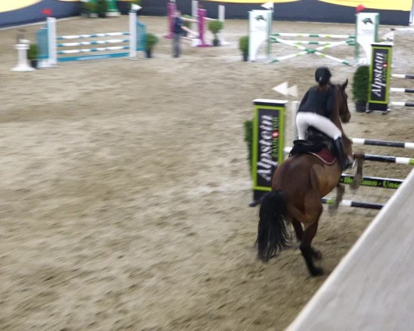 Reitturnier Erlen 2020
