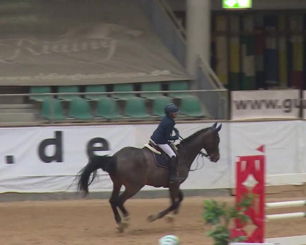 Reitturnier Kreuth/Opf. 2020