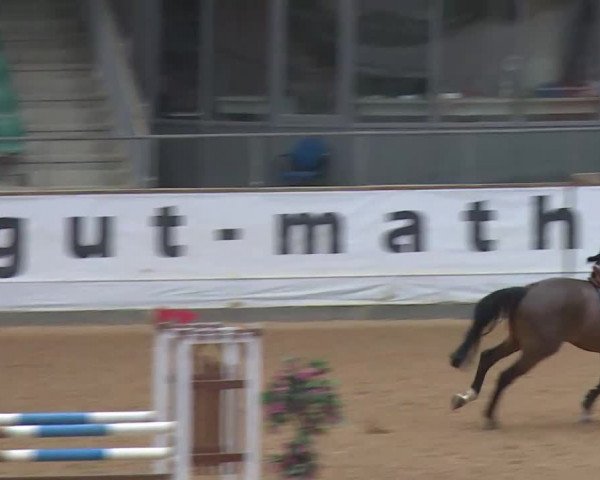 Reitturnier Kreuth/Opf. 2020