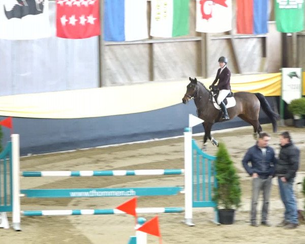 Reitturnier Erlen 2020