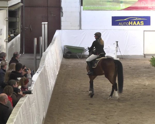 Reitturnier Viernheim 2020