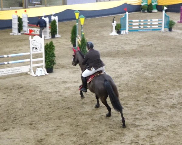 Reitturnier Erlen 2020