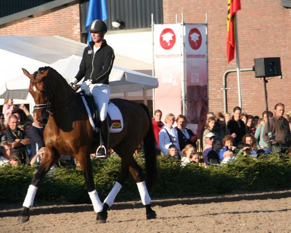 dressage horse Melvin V (KWPN (Royal Dutch Sporthorse), 1994, from Flemmingh)
