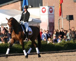 dressage horse Melvin V (KWPN (Royal Dutch Sporthorse), 1994, from Flemmingh)