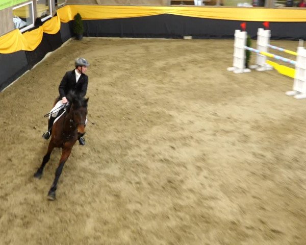 Reitturnier Erlen 2020
