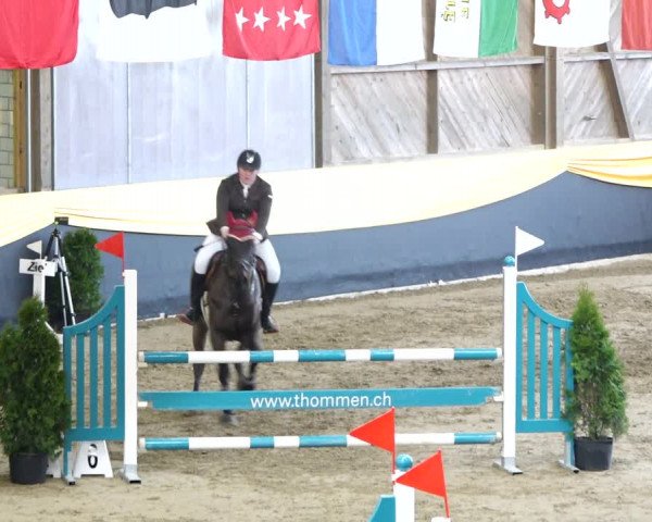 Reitturnier Erlen 2020