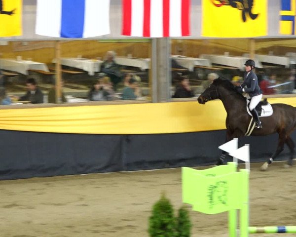 Reitturnier Erlen 2020