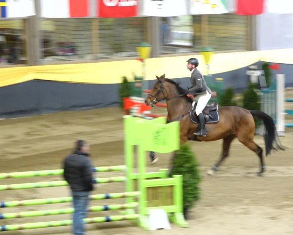 Reitturnier Erlen 2020