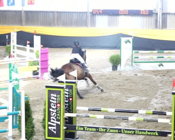 Reitturnier Erlen 2020