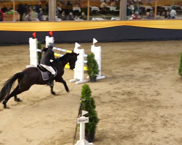 Reitturnier Erlen 2020