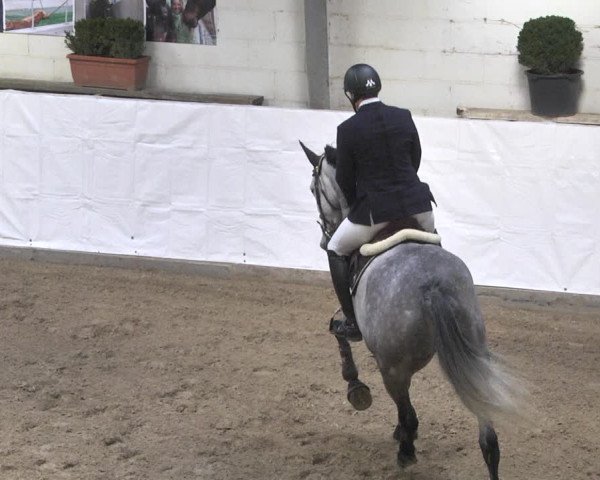 Reitturnier Viernheim 2020