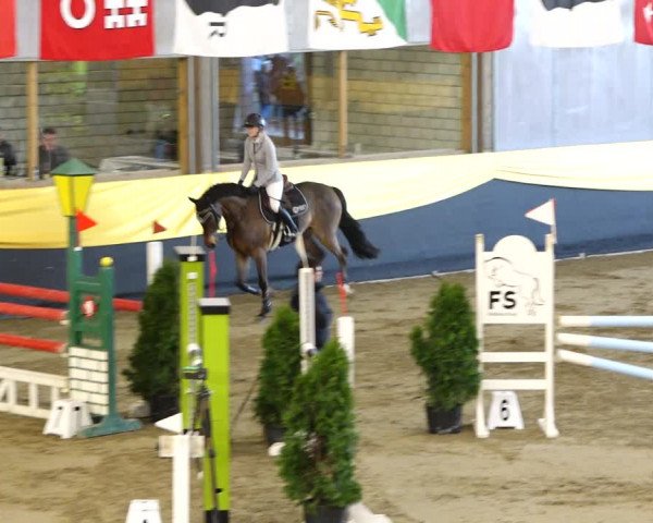 Reitturnier Erlen 2020
