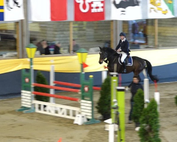 Reitturnier Erlen 2020