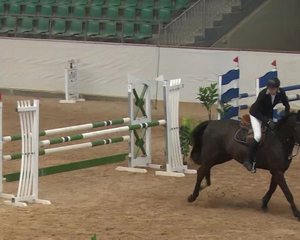 Reitturnier Kreuth/Opf. 2020