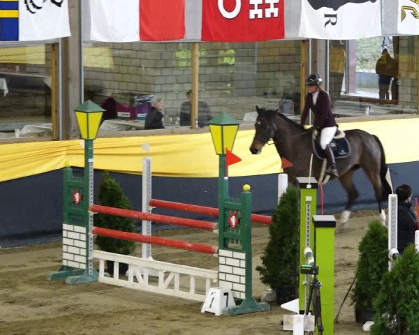Reitturnier Erlen 2020