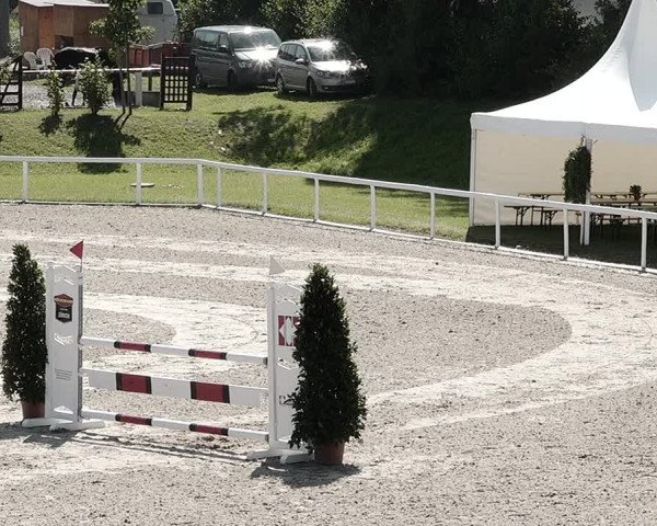 Pferdesporttage Bülach 2021