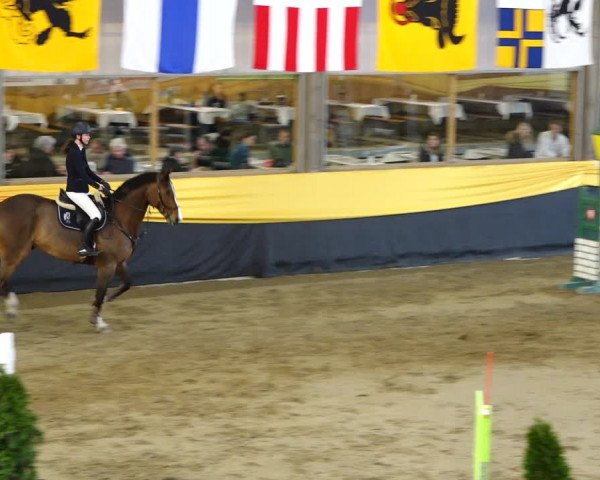 Reitturnier Erlen 2020