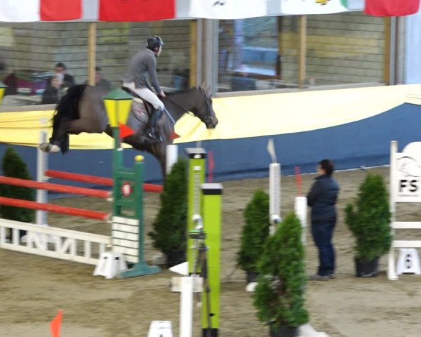 Reitturnier Erlen 2020
