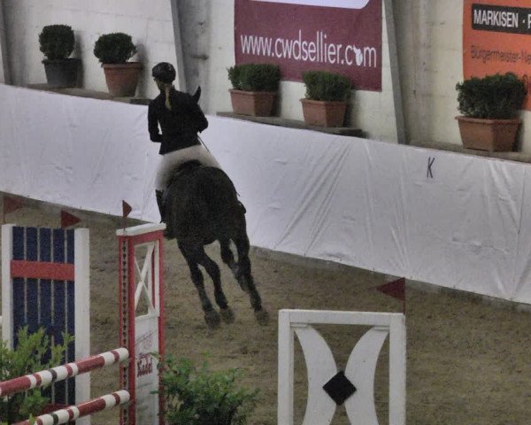 Reitturnier Viernheim 2020