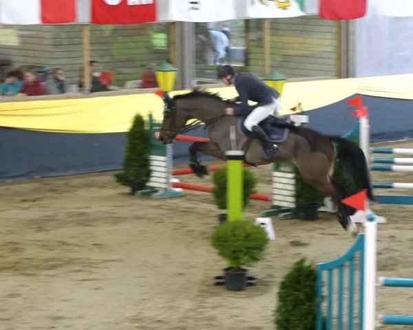Reitturnier Erlen 2020