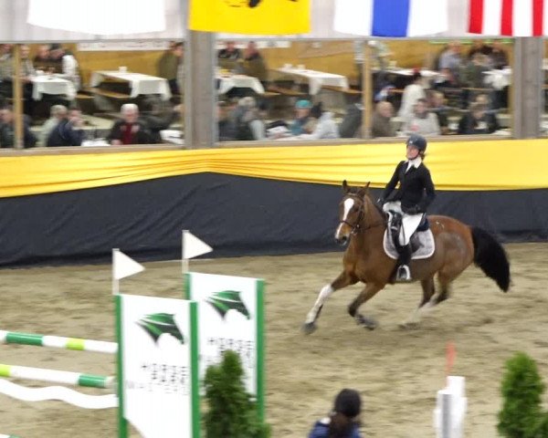 Reitturnier Erlen 2020