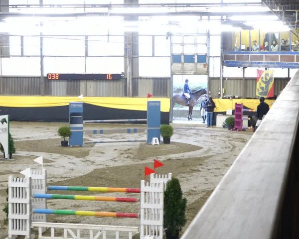 Reitturnier Erlen 2020