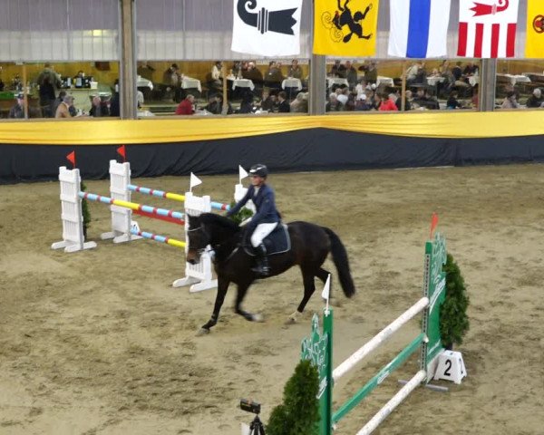 Reitturnier Erlen 2020
