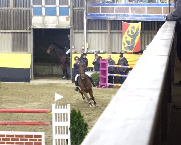 Reitturnier Erlen 2020