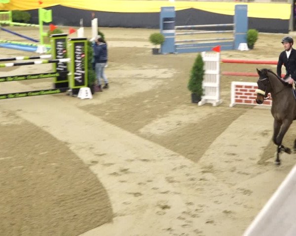 Reitturnier Erlen 2020