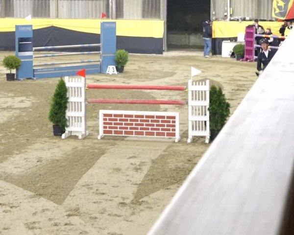 Reitturnier Erlen 2020
