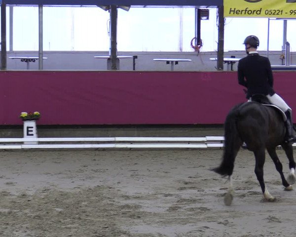 Reitturnier Vlotho-Exter 2020