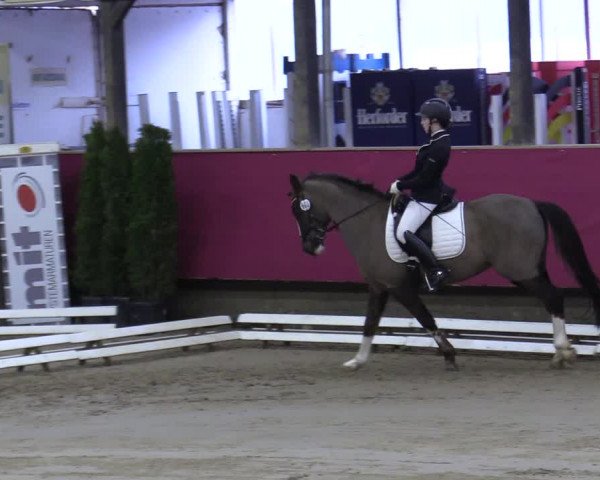 Reitturnier Vlotho-Exter 2020