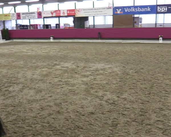 Reitturnier Vlotho-Exter 2020
