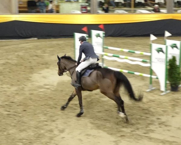 Reitturnier Erlen 2020