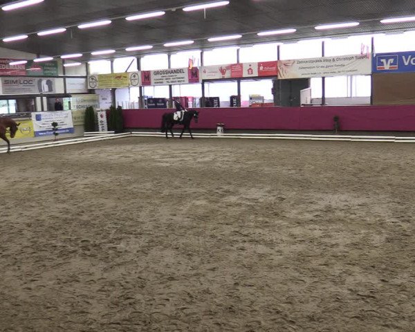 Reitturnier Vlotho-Exter 2020