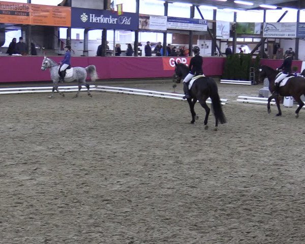 Reitturnier Vlotho-Exter 2020