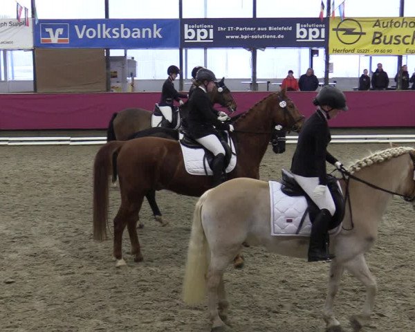 Reitturnier Vlotho-Exter 2020