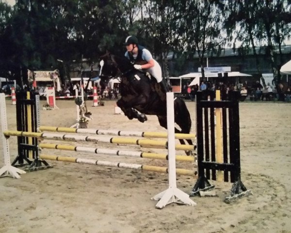 Springpferd Dacapo 170 (Westfale, 1994, von Dimension)