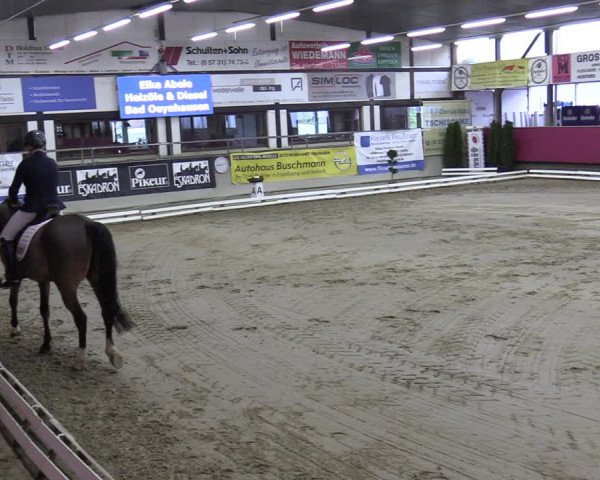 Reitturnier Vlotho-Exter 2020