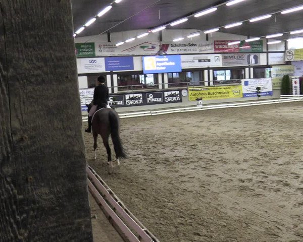 Reitturnier Vlotho-Exter 2020